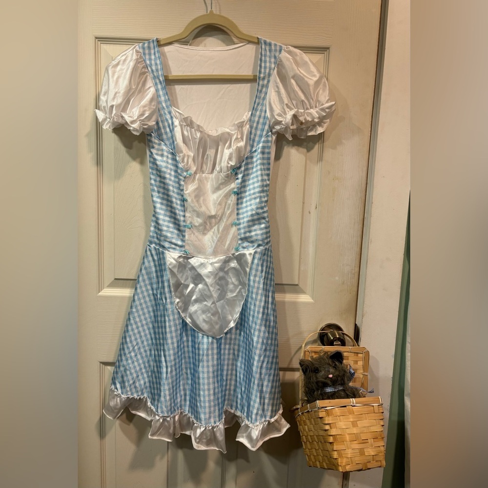 Dorothy and Toto Wizard of Oz Costume Women’s Small or Girls 14/16